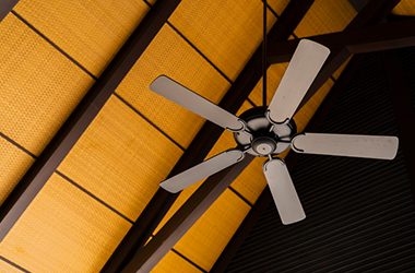 ceiling-fan